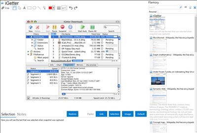 iGetter - Flamory bookmarks and screenshots