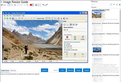 Image Resize Guide - Flamory bookmarks and screenshots