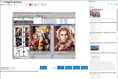 ImageDupeless - Flamory bookmarks and screenshots