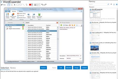 WordExpander - Flamory bookmarks and screenshots