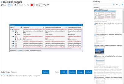 IntelliDebugger - Flamory bookmarks and screenshots