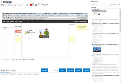 Intubus - Flamory bookmarks and screenshots