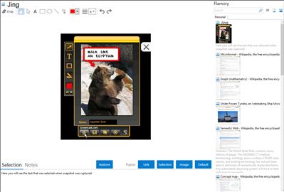Jing - Flamory bookmarks and screenshots