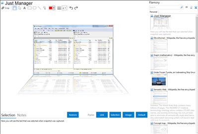 Just Manager - Flamory bookmarks and screenshots