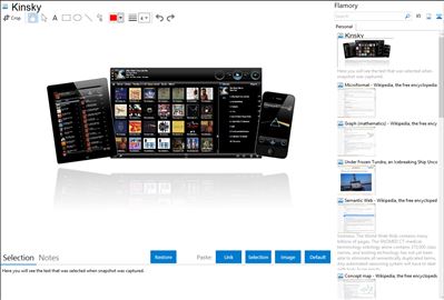 Kinsky - Flamory bookmarks and screenshots