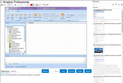 Kruptos Professional - Flamory bookmarks and screenshots