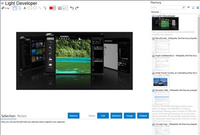 Light Developer - Flamory bookmarks and screenshots