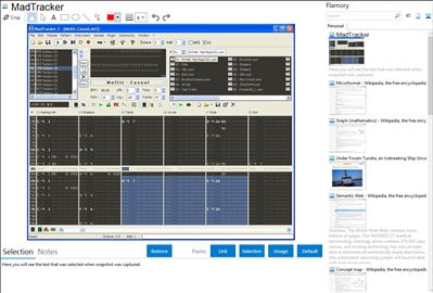 MadTracker - Flamory bookmarks and screenshots