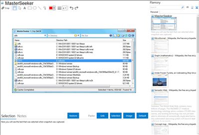 MasterSeeker - Flamory bookmarks and screenshots