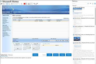Microsoft Money - Flamory bookmarks and screenshots
