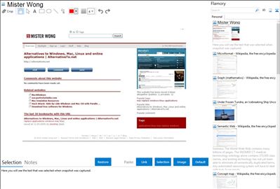 Mister Wong - Flamory bookmarks and screenshots