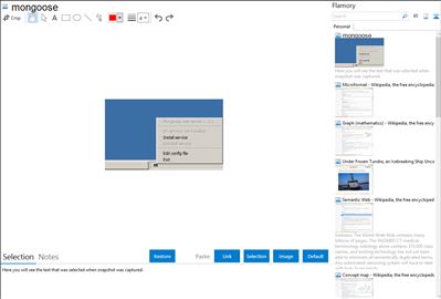 mongoose - Flamory bookmarks and screenshots