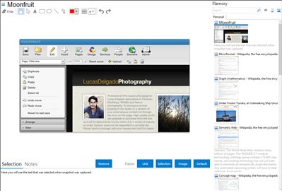 Moonfruit - Flamory bookmarks and screenshots