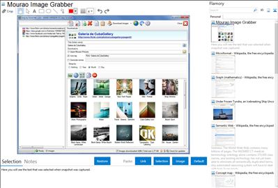 Mourao Image Grabber - Flamory bookmarks and screenshots