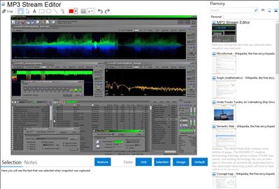 MP3 Stream Editor - Flamory bookmarks and screenshots