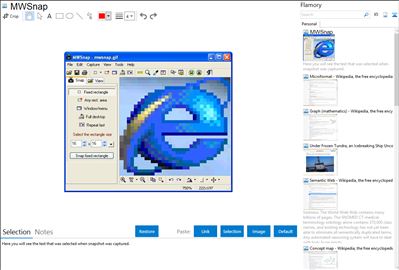 MWSnap - Flamory bookmarks and screenshots