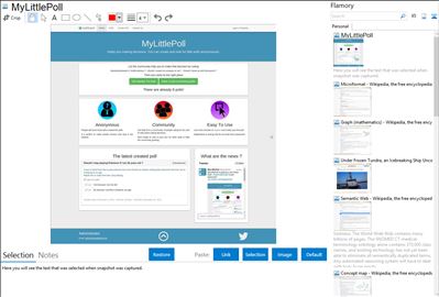 MyLittlePoll - Flamory bookmarks and screenshots