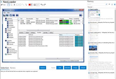 NeoLoader - Flamory bookmarks and screenshots