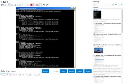 NFI - Flamory bookmarks and screenshots