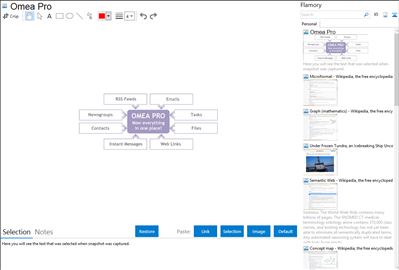 Omea Pro - Flamory bookmarks and screenshots
