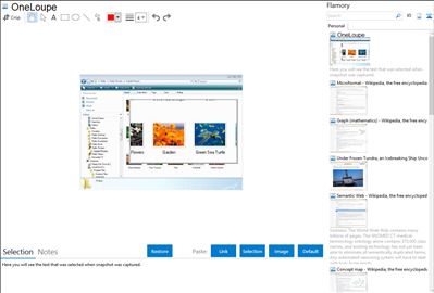 OneLoupe - Flamory bookmarks and screenshots