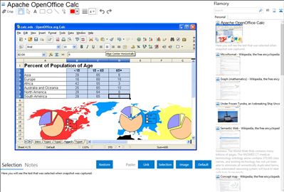 Apache OpenOffice Calc - Flamory bookmarks and screenshots