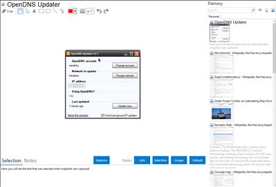 OpenDNS Updater - Flamory bookmarks and screenshots