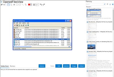 OpenedFilesView - Flamory bookmarks and screenshots
