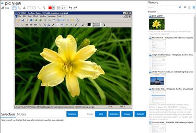 pic view - Flamory bookmarks and screenshots