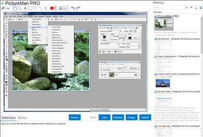 PictureMan PRO - Flamory bookmarks and screenshots