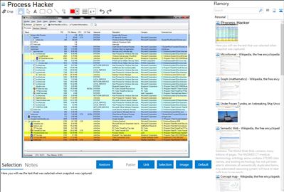 Process Hacker - Flamory bookmarks and screenshots