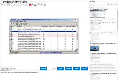ProcessActivityView - Flamory bookmarks and screenshots