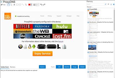 ProxyDNS - Flamory bookmarks and screenshots