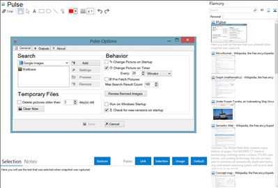 Pulse - Flamory bookmarks and screenshots