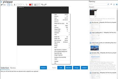 pViewer - Flamory bookmarks and screenshots
