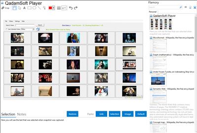 QadamSoft Player - Flamory bookmarks and screenshots