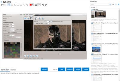 QGifer - Flamory bookmarks and screenshots