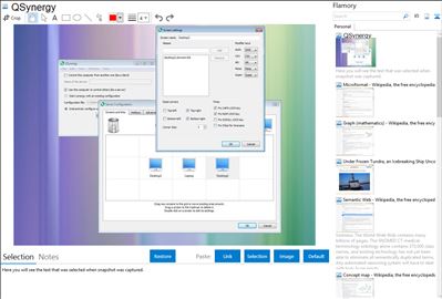 QSynergy - Flamory bookmarks and screenshots