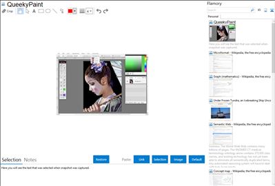 QueekyPaint - Flamory bookmarks and screenshots