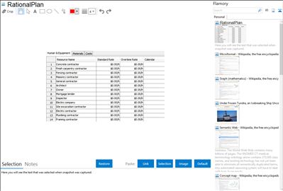 RationalPlan - Flamory bookmarks and screenshots