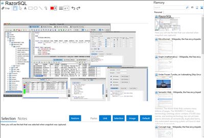 RazorSQL - Flamory bookmarks and screenshots