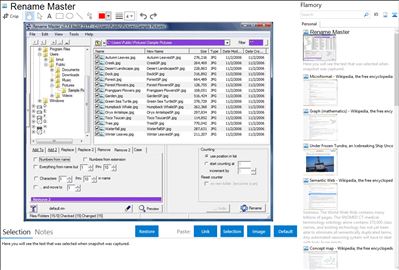 Rename Master - Flamory bookmarks and screenshots