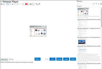 Renesis Player - Flamory bookmarks and screenshots