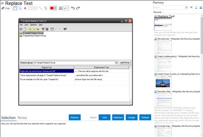 Replace Text - Flamory bookmarks and screenshots