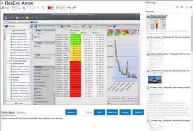 ResEvo.Arrow - Flamory bookmarks and screenshots