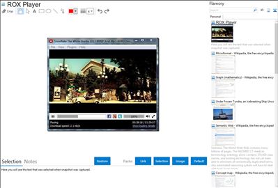ROX Player - Flamory bookmarks and screenshots