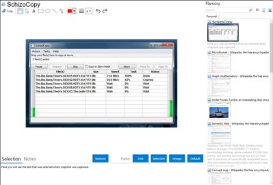 SchizoCopy - Flamory bookmarks and screenshots