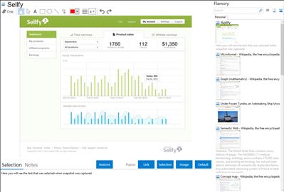 Sellfy - Flamory bookmarks and screenshots