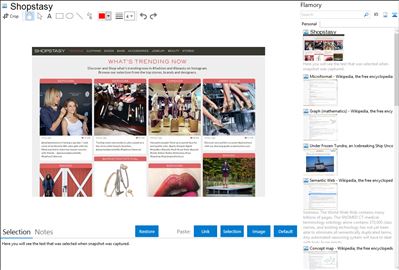 Shopstasy - Flamory bookmarks and screenshots