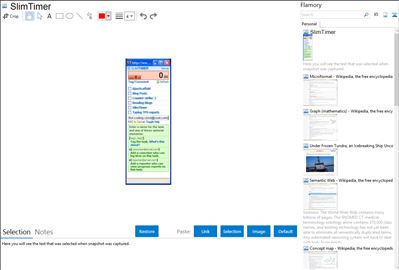 SlimTimer - Flamory bookmarks and screenshots